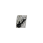 Klaxon,Avertisseur Sonore Original 9830104080 Citroen Peugeot