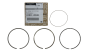 Segments de Piston Original Renault Nissan 120330817R A203300Q0D