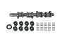 Arbre À Cames Complet 038109101AH B11307 VW Audi Seat Skoda Borsehung