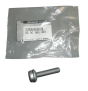 Vis De Fixation D'injection Nouvelle Original 8200580935 Renault Dacia