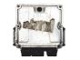ca2-db1996eby