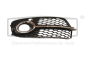 Grille de pare-chocs Gauche Pour Audi Q5 8R0807681S 88071882002 DPA