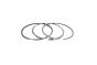 Segments de Piston Pour Mercedes-Benz A2710300324 B10366 Borsehung