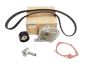 Kit De Courroie De Distribution Original Renault 119A02421R