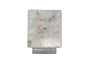 Calculateur YS4F-12A650-PA PANG Ford 34457