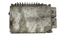 Calculateur Ecu P04727237AC  Chrysler