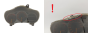 Bloc Compteurs Vitesse Toyota Celica 83800-2B130 157510-0672 2070