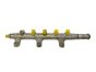 Rampe D'injection  8200023961 0445214025 Renault 2.2 2.5 DCI