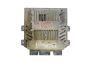 Calculateur 3S61-12A650-LB 5WS40140D-T SID 804 Ford Siemens 34347
