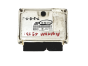 Calculateur 038906019NA 0281011822 VW Seat Bosch 20981
