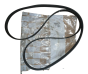 Courroie D’alternateur Original  Citroen Peugeot 206 C3  6PK1705 5750VQ