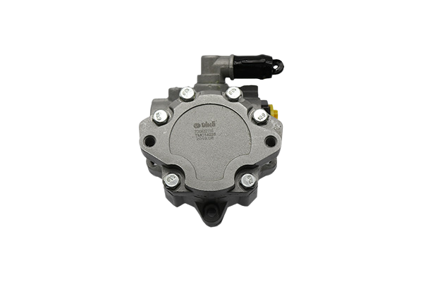 Pompe De Direction Assistée Pour VW T4 7D0422155 44220104801 Vika
